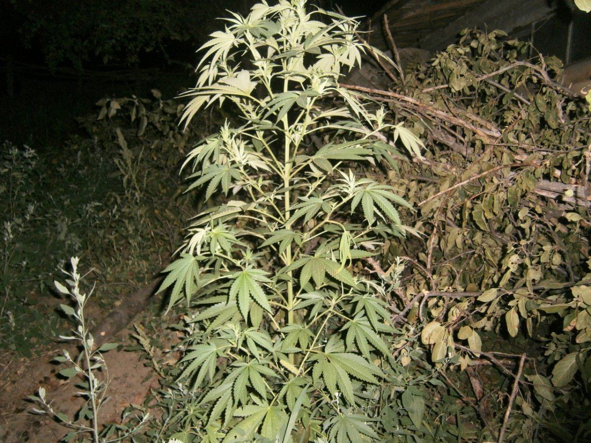 P8280040