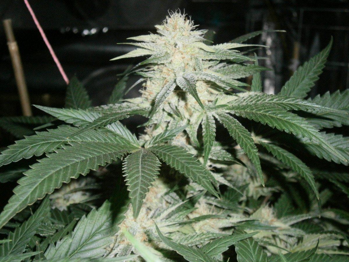 P9260321