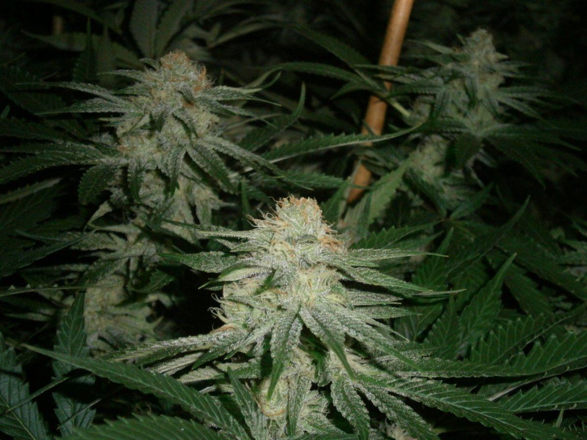 P9260341