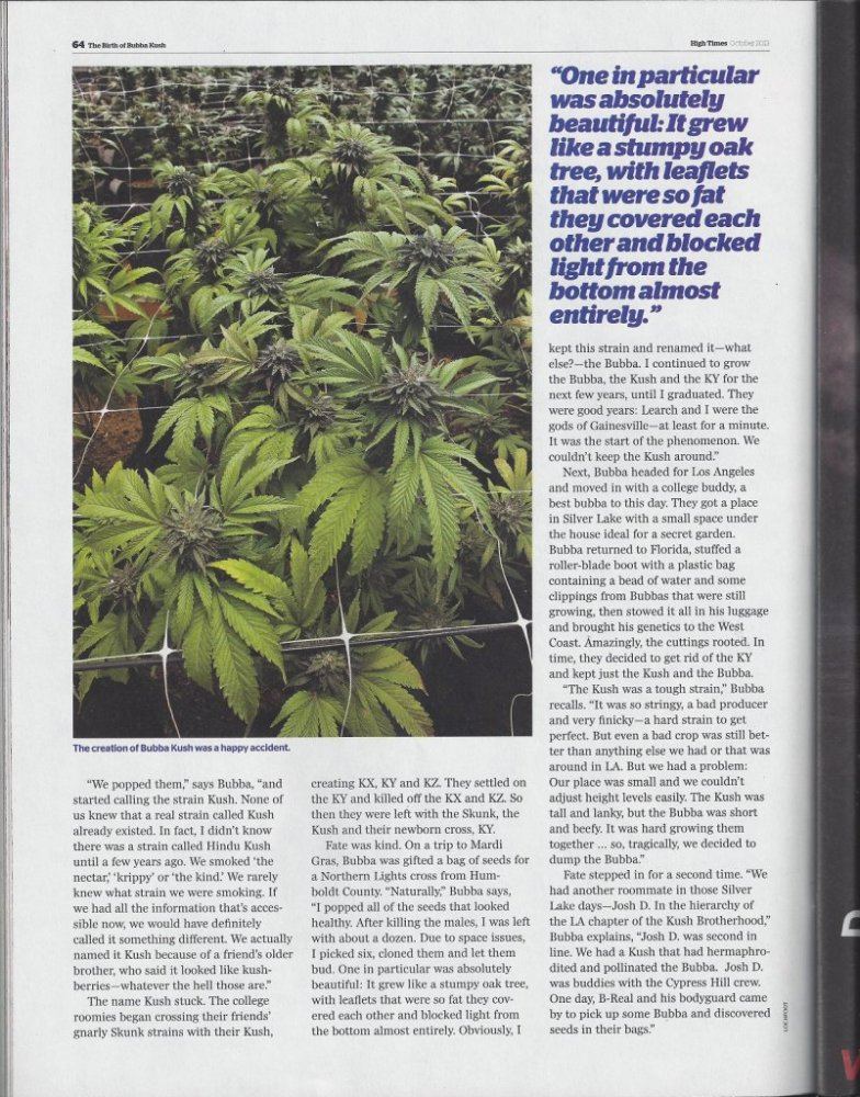 Page3