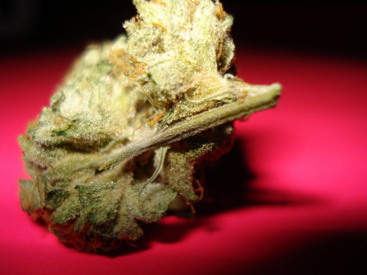 Pandora og smoke report 008