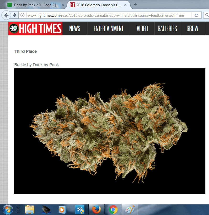Pank cup 3rd indica   Copy