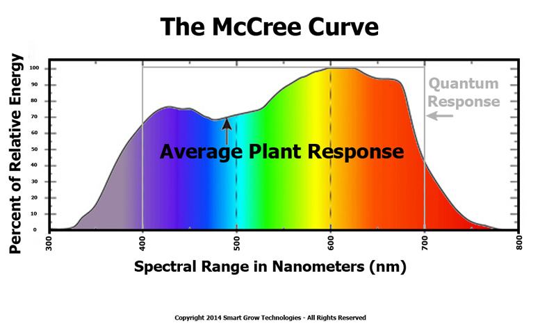 Par light mccree curve