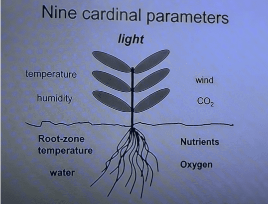 Parameters of Growth
