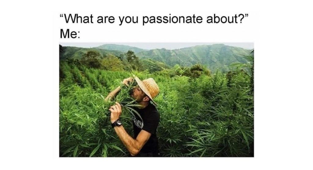 Passion weed meme 1024x555