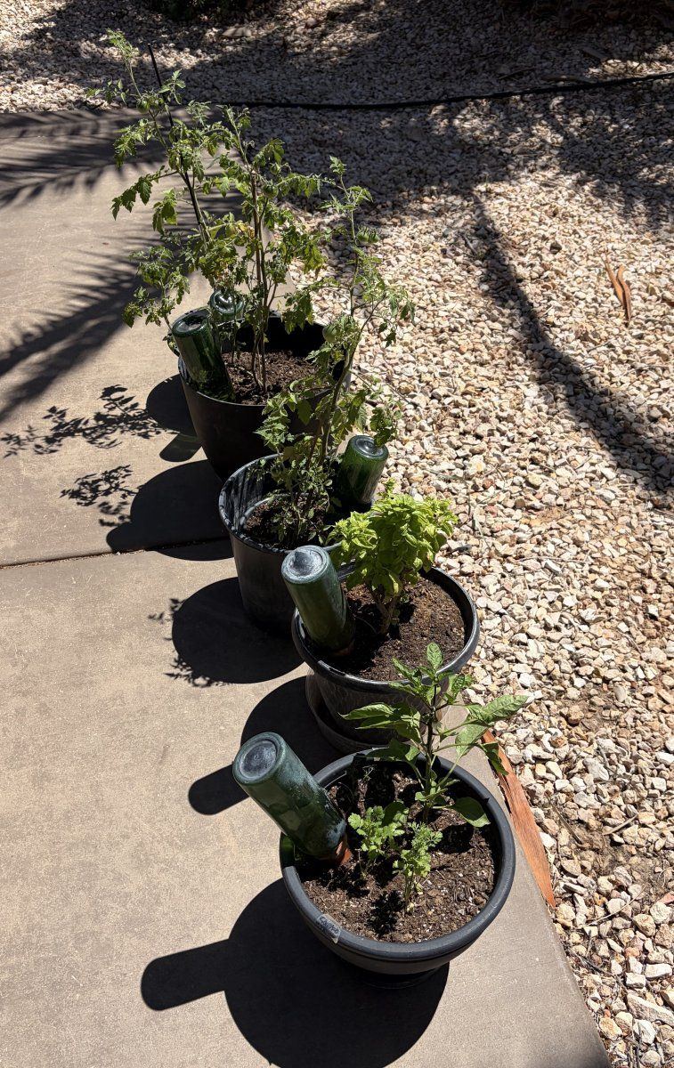 PatioPots IMG 8430