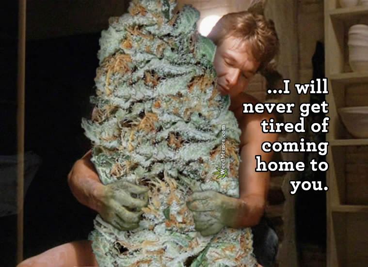 Patrick swayze ghost weed memes