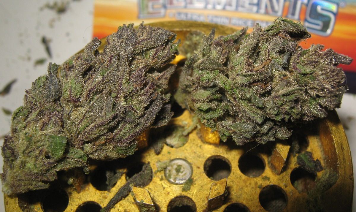 Pcpnugs