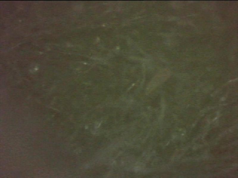 PDVD 026