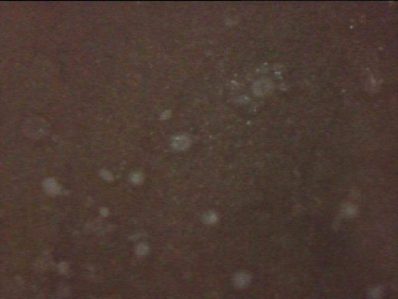 PDVD 040