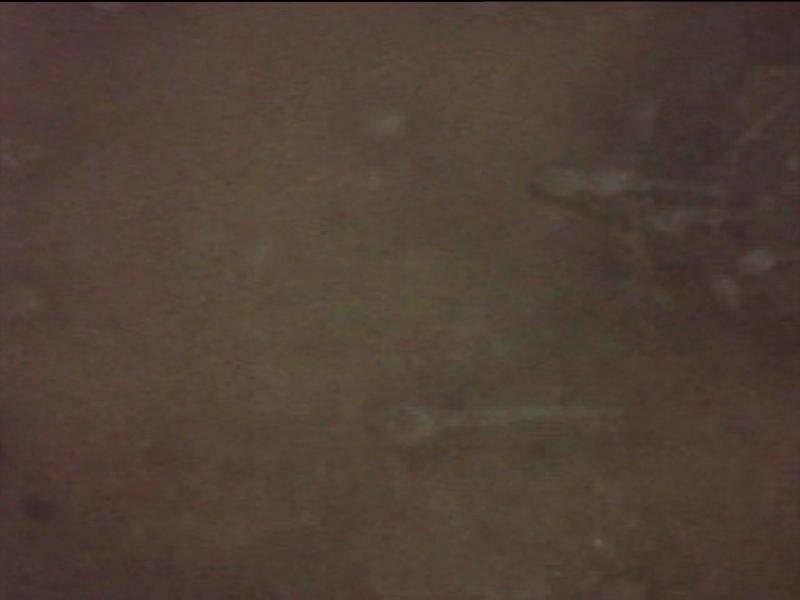 PDVD 041