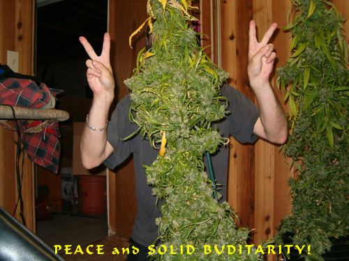 PEACE2
