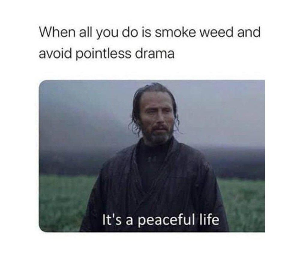 Peaceful life weed meme