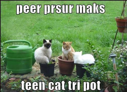 Peer pressure