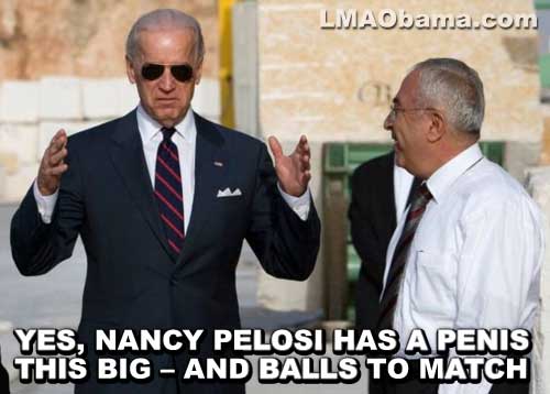 Pelosi penis