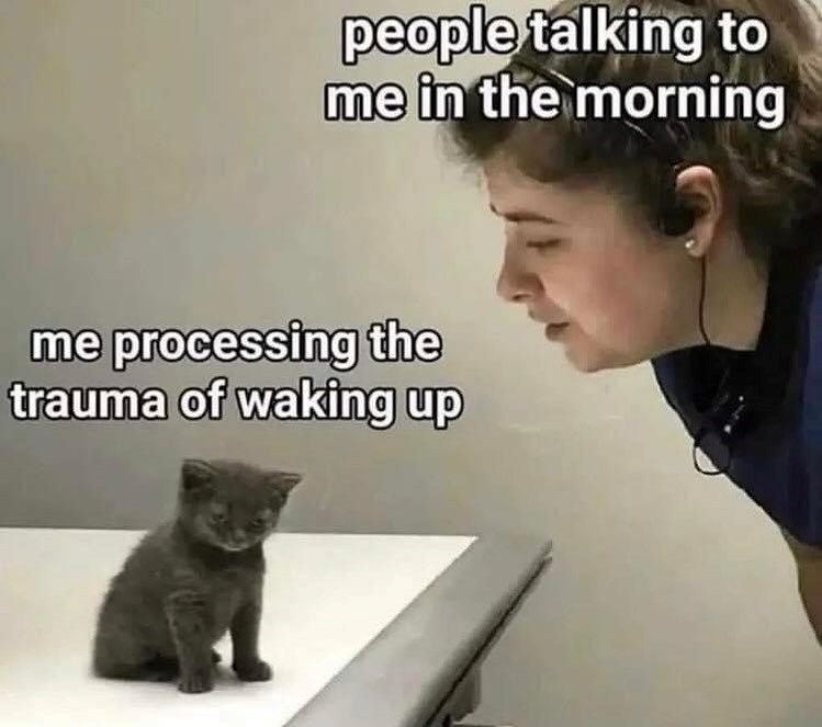 People talking morning processing trauma waking up