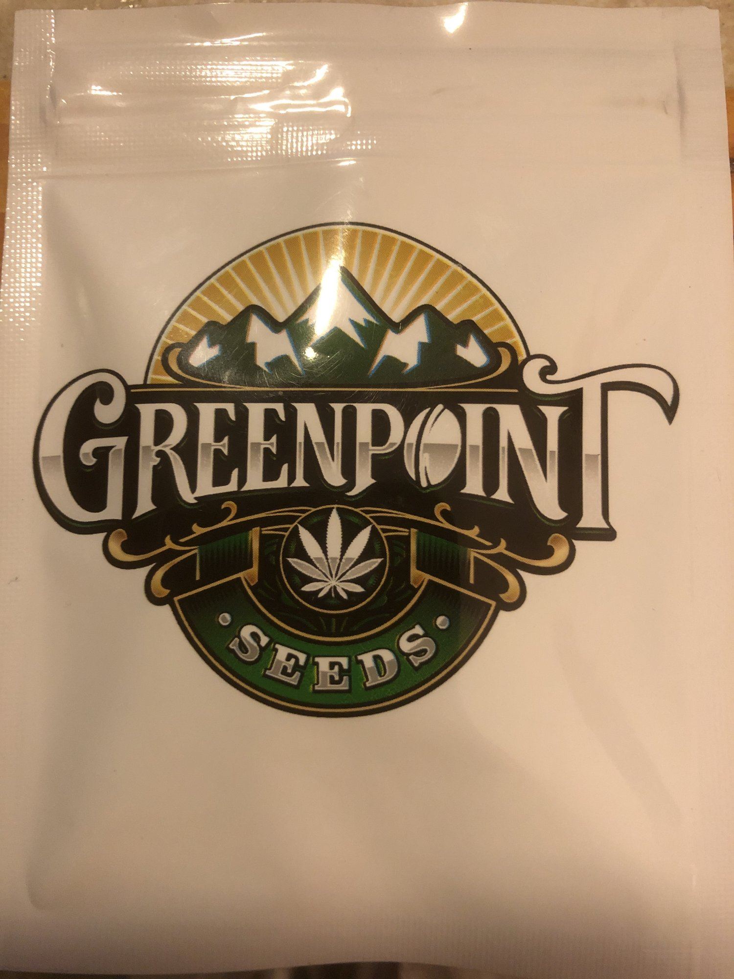 Periwinkle pie   greenpoint seeds 4