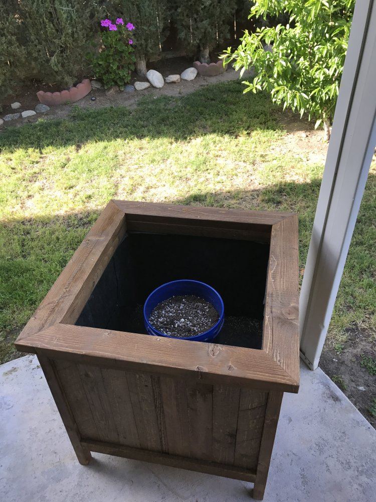 Personal grow box build project