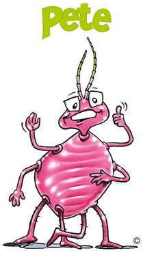 Pete