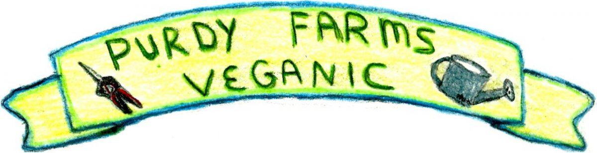 PFVC banner