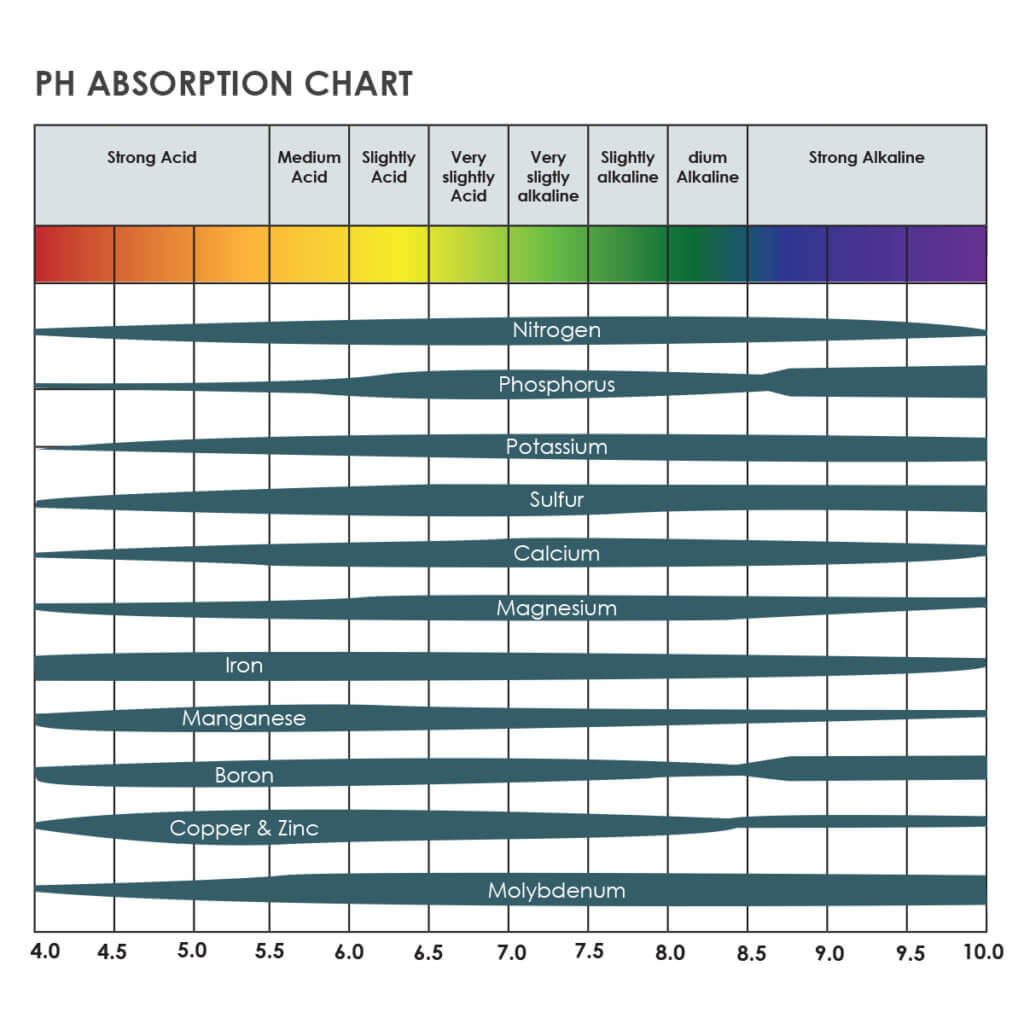 Ph absorption chart 1024x1024