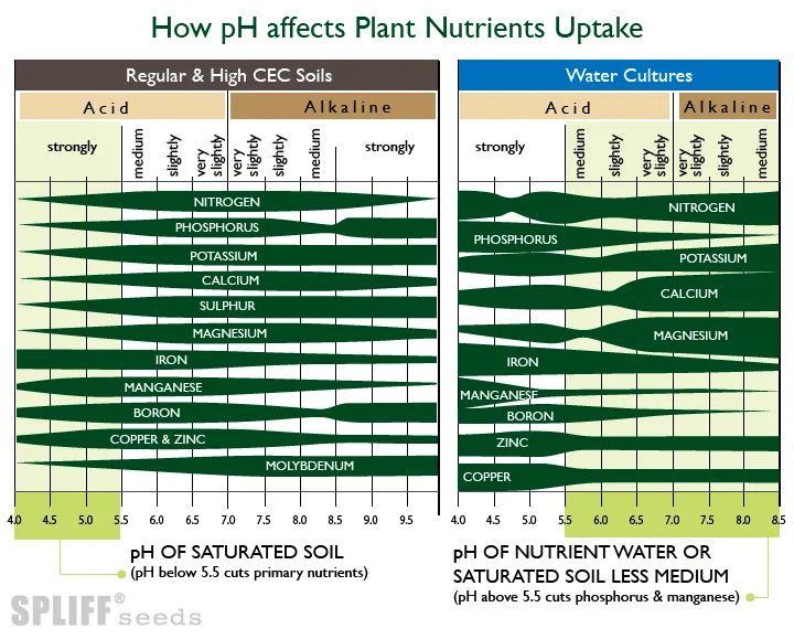 PH Cannabis Nutrition 2