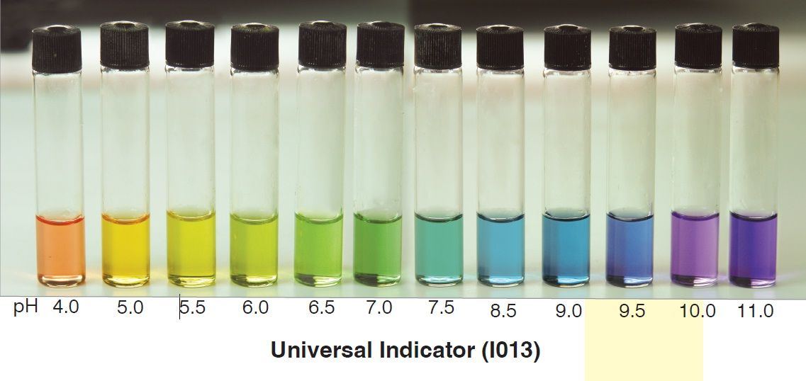 Ph chart