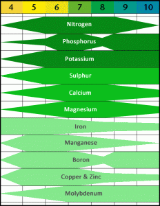 PH elements table 232x300