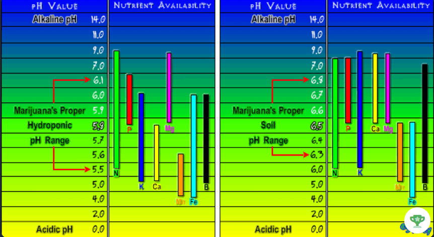 Ph nutrient