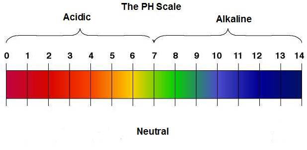 Ph scale