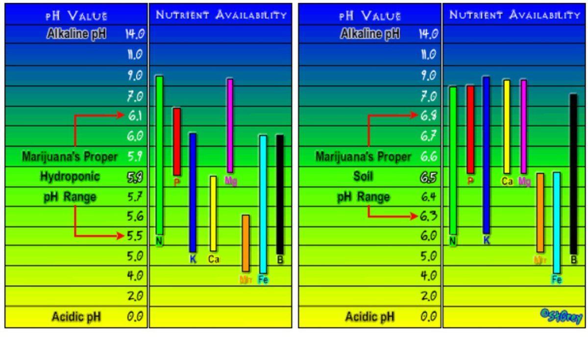 PH uptake chart