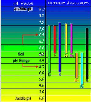 PH Chart Soil