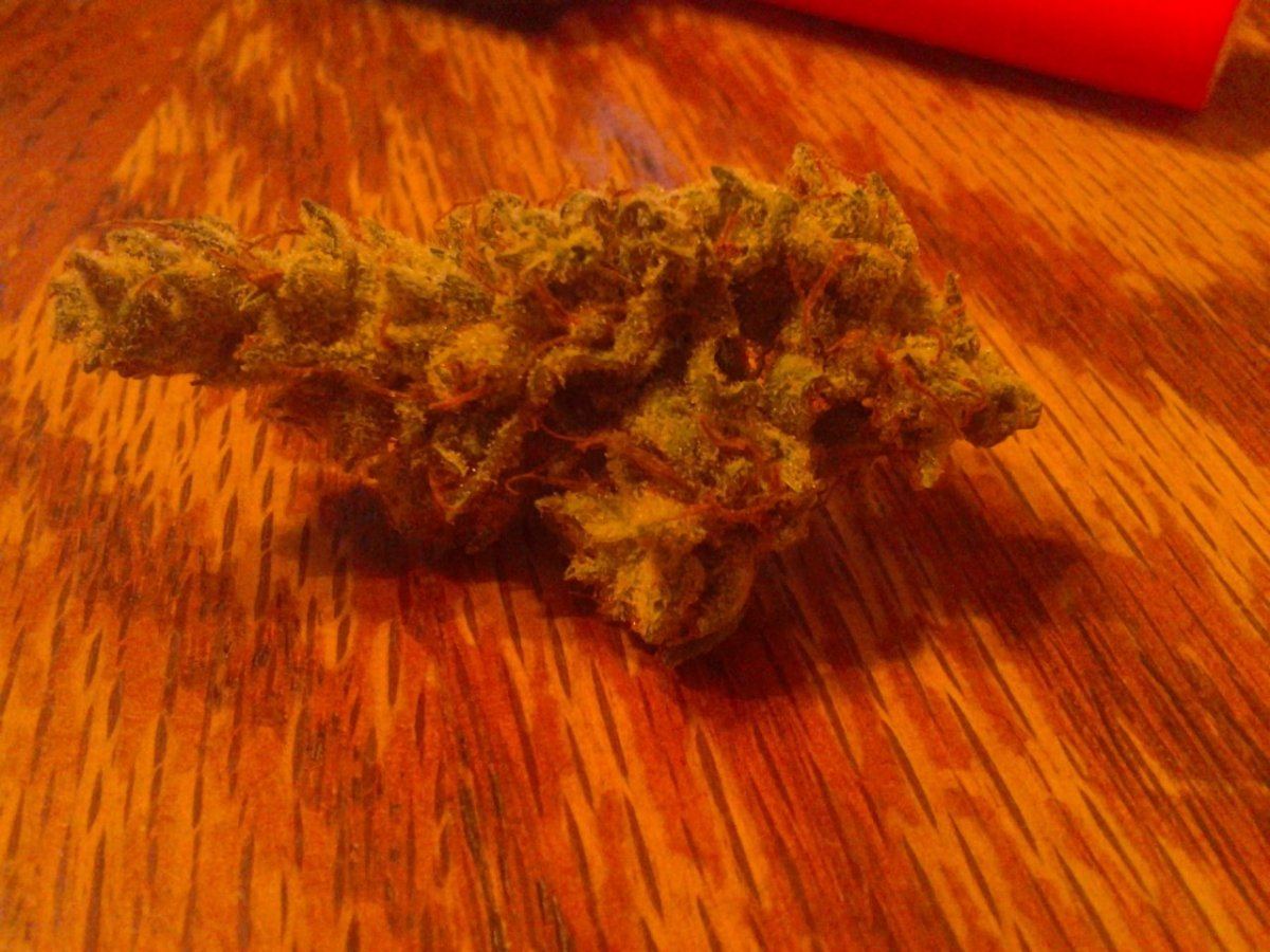 Pharmn with hemp 2