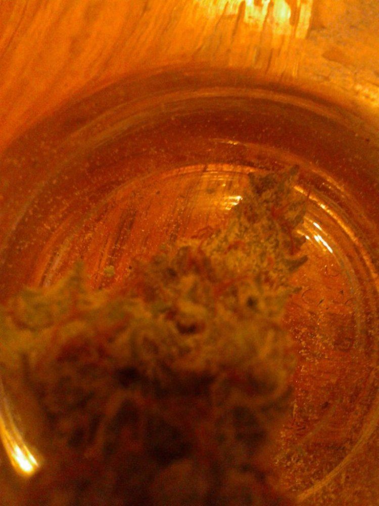 Pharmn with hemp 3