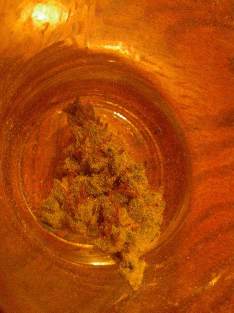 Pharmn with hemp 4