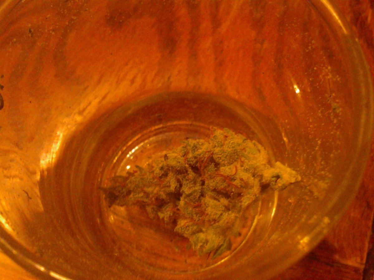 Pharmn with hemp 5