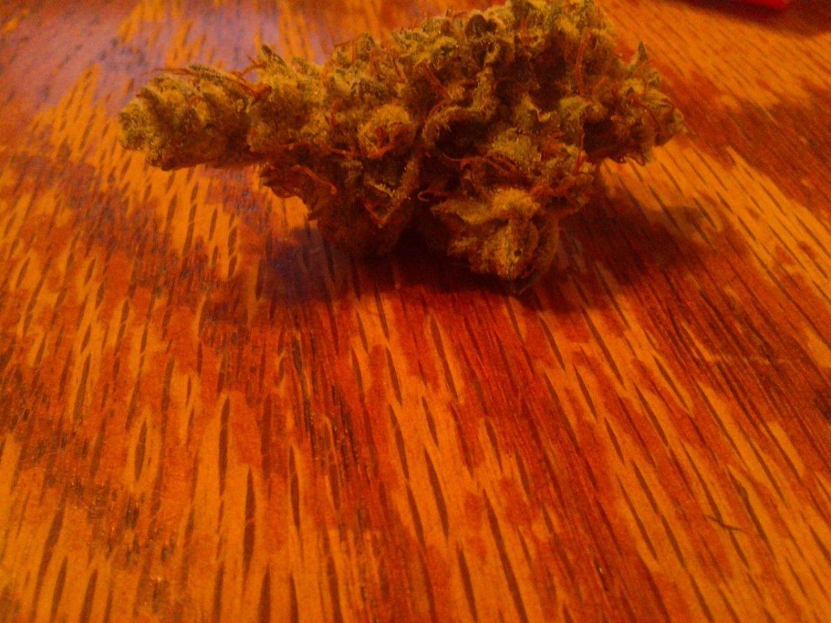 Pharmn with hemp