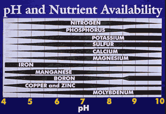 Phnutrsoil1