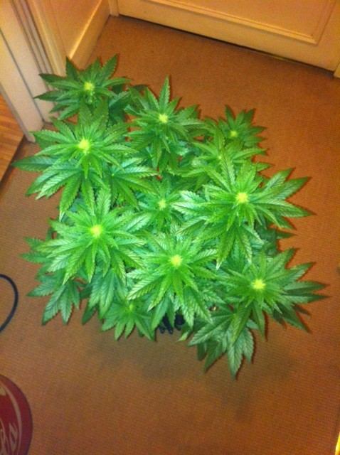 Photo 1 1