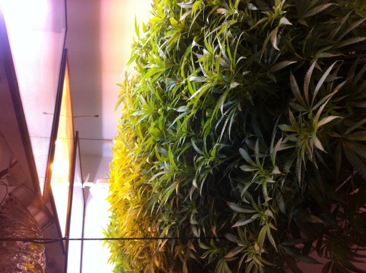Photo 1 5