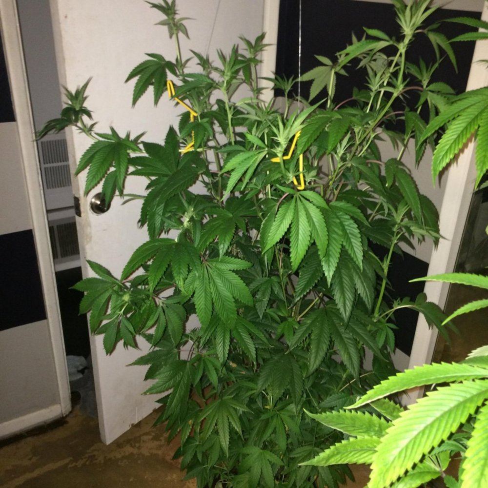 Photo 1 9