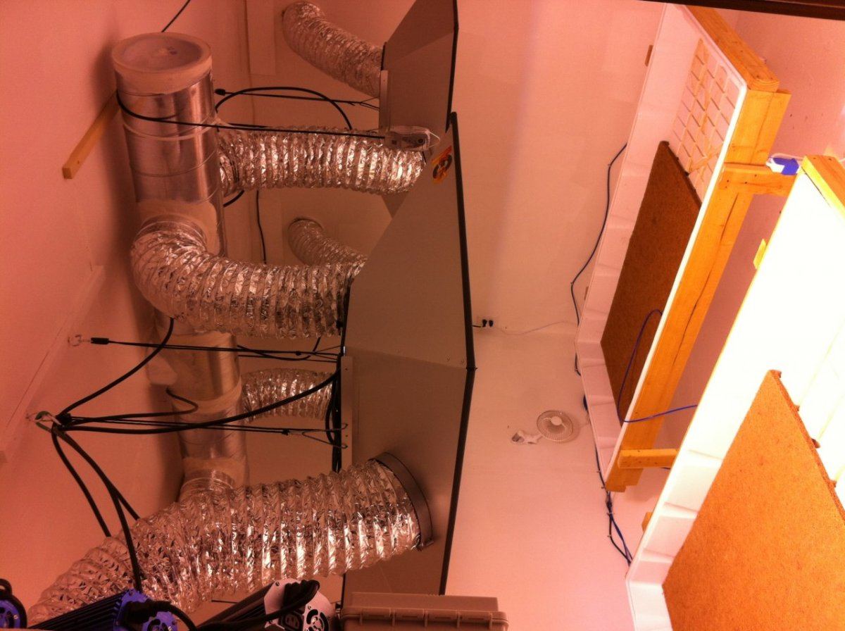 Photo 1 9