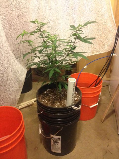 Photo1