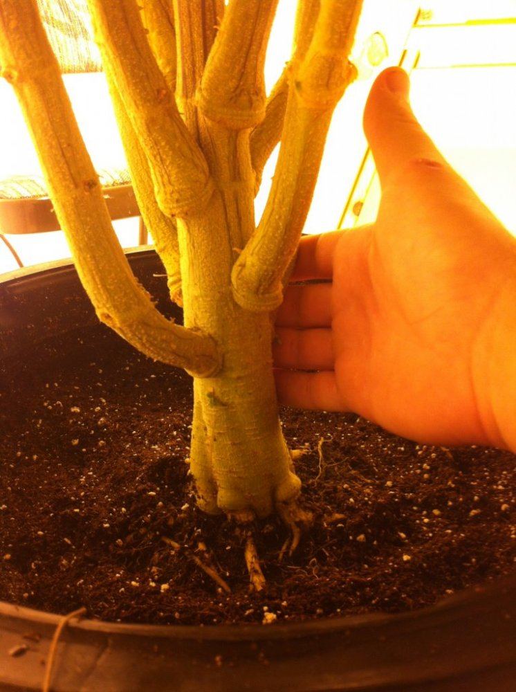 Photo 2 1