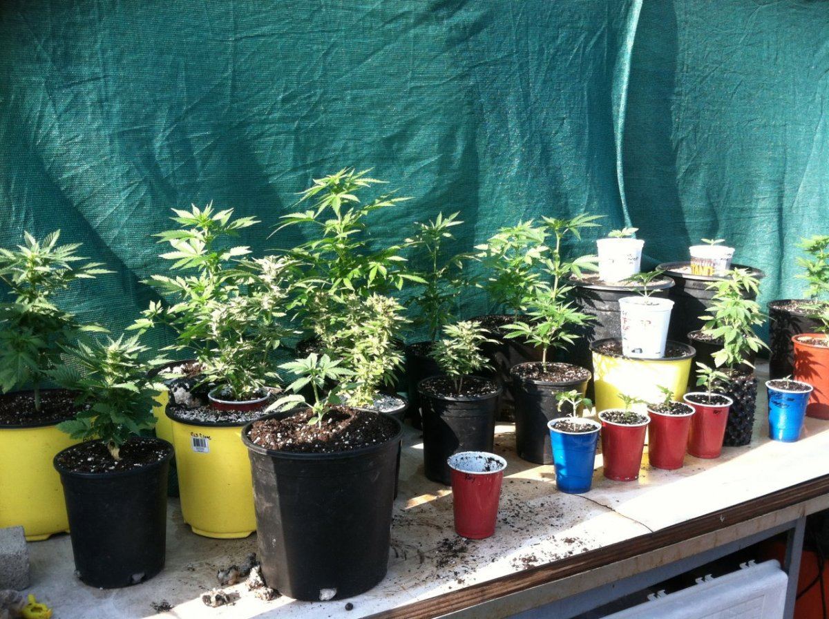 Photo2
