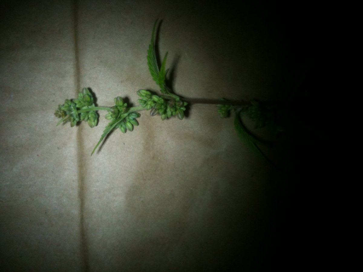Photo 22