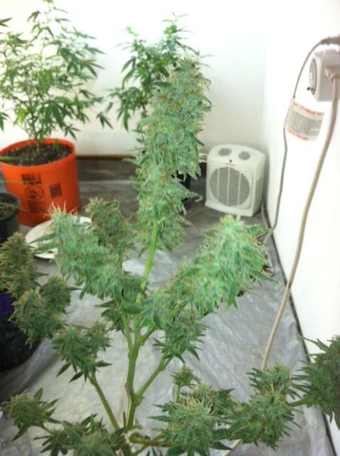 Photo 24