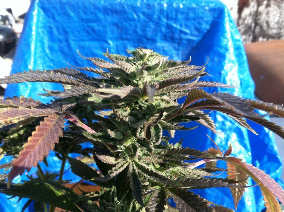 Photo 3