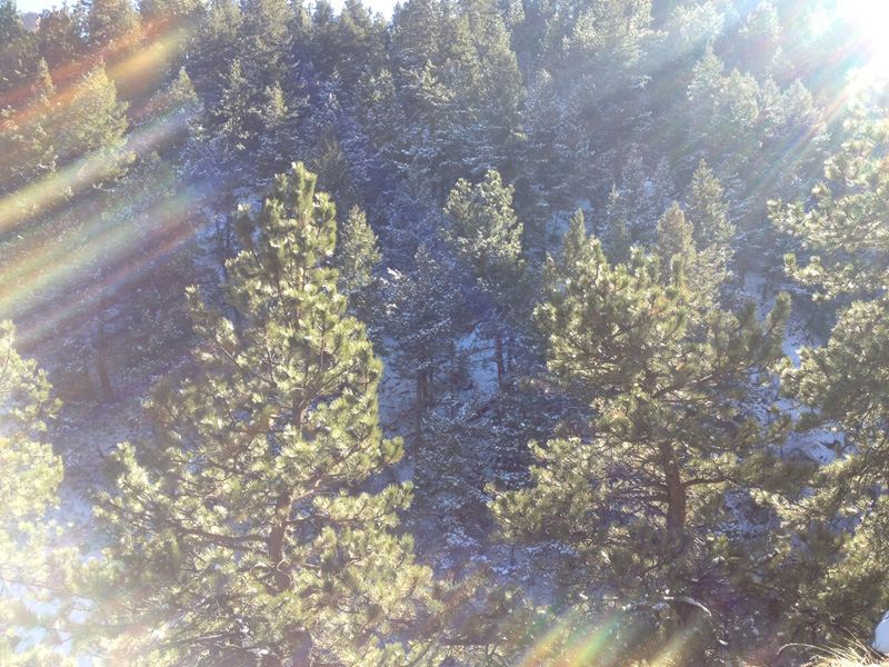 Photo4