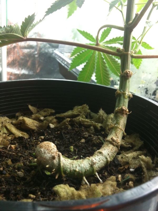 Photo1